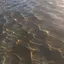 hillsidewaves